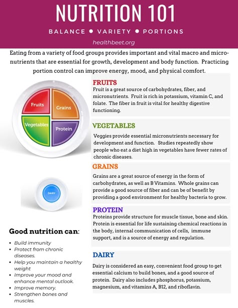 Grab this pdf printable with everything you need to know about nutrition basics, food groups, healthy eating and myplate. #myplate #nutrition #choosemyplate Healthy Eating Portions, Healthy Food Groups, Nutrition Basics Healthy, Daily Nutrition Guide Charts, What Is Nutrition, Healthy Eating Basics, Understanding Nutrition, Nutrition Guide Healthy Eating, Nutrition Group Activities For Adults