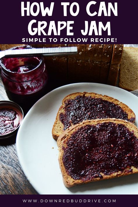 Canning Tutorial, Concord Grape Recipes, Beginner Canning, Concord Grape Jam, Grape Jelly Recipe, Grape Jam Recipe, Concord Grape Jelly, Easy Jam Recipe, Ideas For Appetizers