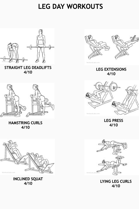 Lying Leg Curls, Hamstring Curls, Leg Day Workouts, Leg Curl, Leg Extensions, Leg Press, Legs Day, Straight Leg