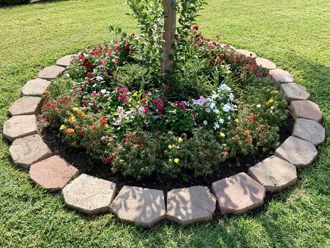 Circle Flower Beds In Front Of House, Round Flower Beds In Front Of House, Circle Flower Bed Ideas, Circular Flower Bed Ideas, Flower Bed Around A Tree, Round Flower Bed Ideas, Circle Flower Bed, Yard Trees, Stone Flower Beds