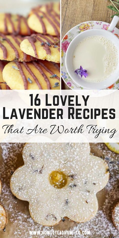 Cooking With Lavender Recipes, Culinary Lavender Recipes, Lavender Dessert Recipes, Lavender Desserts, Lavender Food, Lavender Dessert, Lavender Martini, Strawberry Lavender, Lavender Jam