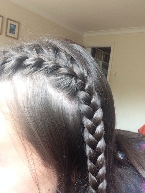 Small Plaits Hairstyles, Tiny Dutch Braids, Shiny Brown Hair, Side French Plait, French Plait Pigtails, Half French Braid Pigtails, Half Up French Braid Pigtails, French Plaits, Hair Plaits