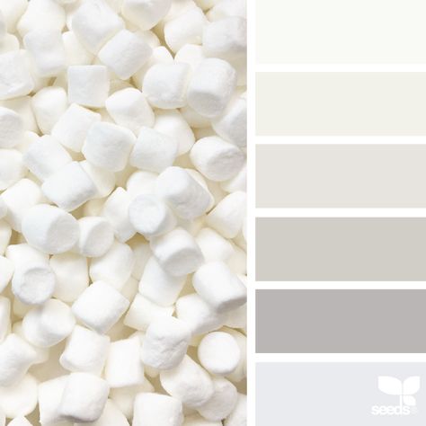 Marshmallow Tones | design seeds | Bloglovin’ Grey Paint Colors, White Paint Colors, Trendy Living Rooms, Design Seeds, Color Palette Design, Reggio Emilia, Colour Board, Living Room Colors, New Wall