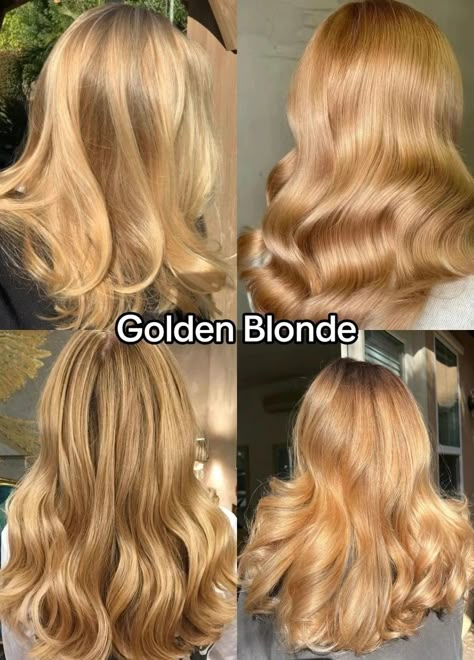 Colors For Warm Undertones, Hair Colors For Warm Undertones, Warm Honey Blonde Hair, Honey Blonde Hair Ideas, Warm Golden Blonde Hair, Butter Blonde Hair, Warm Honey Blonde, Golden Hair Color, Caramel Blonde Hair