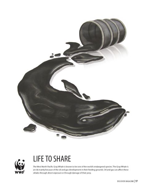 This WWF poster was created to advertise this concern using an illustration that would  best describe this problem. Description from aliciacairns.com. I searched for this on bing.com/images Wwf Poster, Environmental Posters, Polish Poster, Animal Conservation, Awareness Poster, Environmental Problem, 광고 디자인, Visual Metaphor, Publicidad Creativa