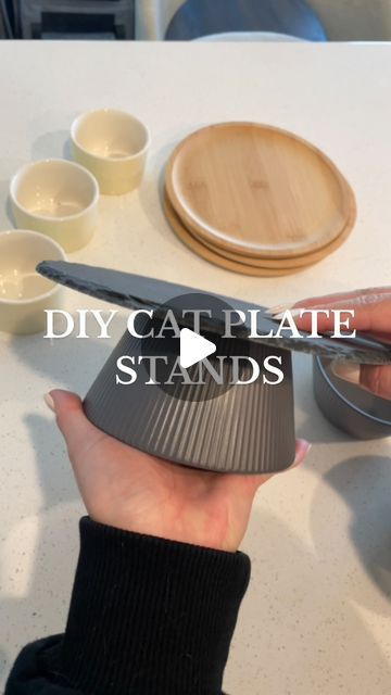 Simple Kitties on Instagram: "Let’s DIY some plate stands and set up my cats’ feeding area ✨  Saw the idea to make your own elevated cat bowls from @ziggy.thekittyy & the original creator @through.the.lleaves 🤍  Since I don’t have space to store a bunch of elevated plates, I decided to make plate stands instead💡  I may not use the steel plates since they’re so delicate, but I still think they turned out cute 🥺  The bamboo trays, steel plates, and bowls are from @daiso_usa ! Glue is from @michaelsstores 🤍   #catstuff #diy #catsupplies #catplates #feedingsupplies #catdiy #cat #cattok #catsoftiktok #catslife #catlover #catlife  #cats #catlove #catloversclub #petlovers #petlife #petparent #catparent #catlover #catmom #catmomlife" Cat Food Platform, Cat And Dog Feeding Area, Diy Elevated Cat Bowls, Diy Cat Feeder, Diy Cat Bowl Stand, Multi Cat Feeding Station, Diy Cat Bowl, Dog Proof Cat Feeder, Cat Feeding Area