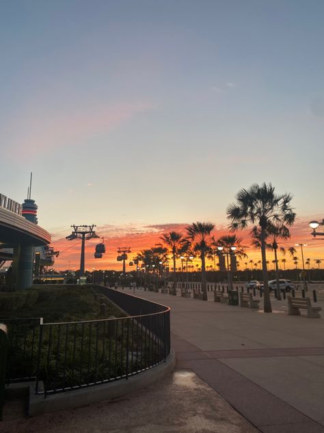 #disneyworld #hollywood #attraction #skyliner #gondola #sunrise #sunset #travel #disney #palmtrees #early #earth #sky #disneytips #vacation #spring #summer #orlando #disneyworldplanning #photography Early Earth, Travel Disney, Shot Ideas, Shots Ideas, Sunset Travel, Disney World Planning, Hollywood Studios Disney, Disney Tips, Sunshine State