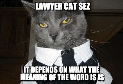 Legal definition of is. Law School Humor, Internal Memo, Legal Humor, Lawyer Humor, Lawyer Jokes, Business Cat, Fire Quotes, Celebrity Dogs, Cat Humor