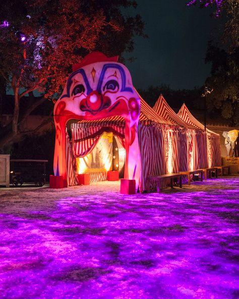 Carnival Freakshow Halloween Party | Kristin Banta Events | PartySlate Halloween Event Decor, Vortex Tunnel, Party Tent Decorations, Haunted Circus, Haunted Carnival, Oddities And Curiosities, Halloween Circus, Carnival Decorations, Pool Party Decorations