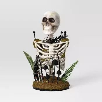 Hyde & EEK! Boutique : Page 20 : Target Halloween Tea Party, Pet Costumes Cat, Target Halloween, Plastic Skeleton, Faux Moss, Home Decor Halloween, Halloween Inspo, Halloween Diy Crafts, Halloween Craft