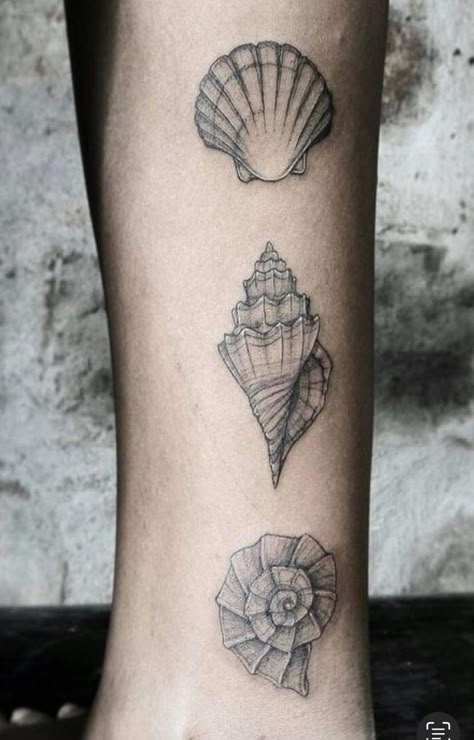 Conk Shell Tattoos, Spiral Seashell Tattoo, Shell Ankle Tattoo, Shell Tattoos For Women, She’ll Tattoo, Seashell Tattoo, Family First Tattoo, Shell Tattoo, Seashell Tattoos