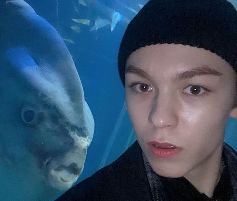 Vernon Pfp, Vernon Cute, Seventeen Pfp, Nature Aesthetic, Seventeen, Quick Saves, Nature