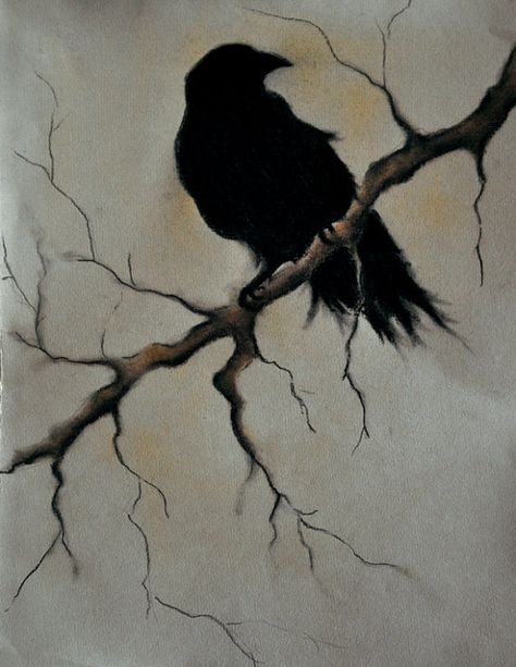 Raven on a branch 2 ORIGINAL charcoal drawing by Natureandart, $110.00 Bird Drawing, Crow Art, Raven Tattoo, Raven Art, Crows Ravens, Charcoal Art, Halloween Wall Art, The Crow, Gothic Halloween