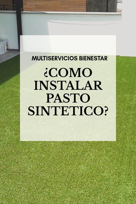 Pasto Natural, Backyards, Patio, Patios, Back Gardens