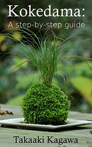 Kokedama Ball, Diy Kokedama, Japanese Moss Balls, Japanese Plants, Growing Moss, String Garden, Bonsai Soil, Ball Ideas, Moss Plant