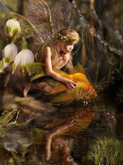 I wish they were real Scottish Fairy, Golden Fairy, Water Fairy, Fairy Pictures, Love Fairy, Cross Stitch Supplies, Nature Posters, Fairy Magic, Fairy Angel