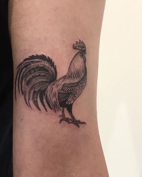 Holly Tattoo, Hen Tattoo, Rooster Tattoo, Le Tattoo, Masculine Tattoos, Inner Bicep Tattoo, Garden Tattoos, Tattoo Process, Black White Tattoos