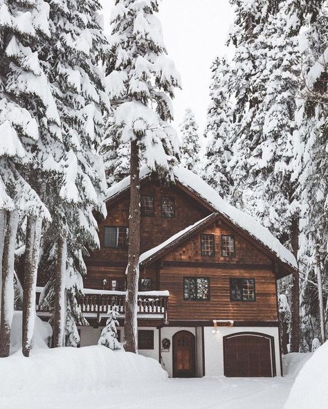 Winter Cottage Exterior, Winter Cabin Aesthetic, Cabin Snow, Winter House Exterior, Cabin Winter, Siding Styles, Snow Cabin, Dream Cabin, Winter Cottage