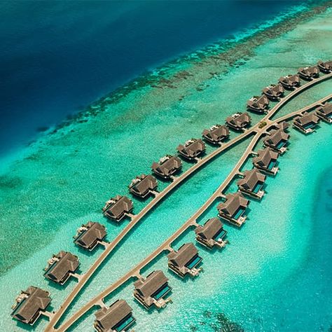 Joali Maldives, Maldives Spa, World Art Day, Maldives Beach, Maldives Island, The Maldives, Perfect Sense, Spa Experience, Island Resort