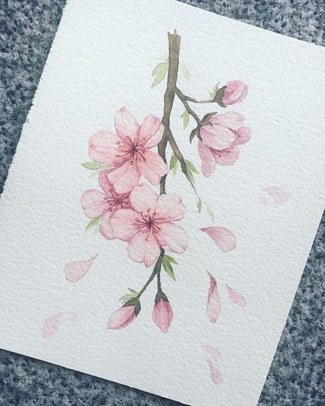 Cherry Blossom Drawing, Cherry Blossom Watercolor, Cherry Blossom Painting, Acrylic Painting Ideas, Easy Acrylic Painting, Cherry Blossom Art, Flower Art Drawing, Blossoms Art, Watercolor Flower Art