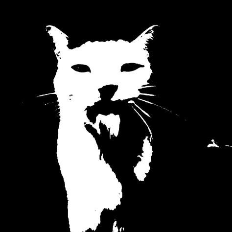 Graphic Poster Art, Black And White Posters, Black And White Aesthetic, App Icon Design, Silly Cats, Phone Themes, Art Reference Photos, Graphic Poster, Cute Icons