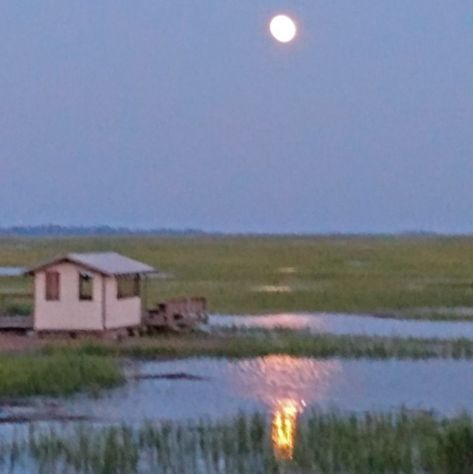 Marsh Aesthetic, Aesthetic Moonlight, Country Farm, Savannah Ga, Pretty Places, Water