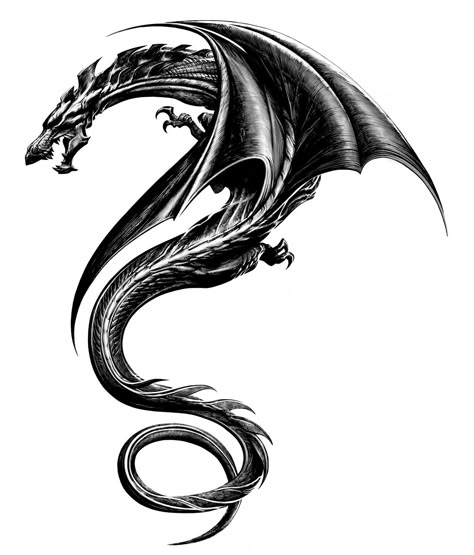 The Dragon Tattoo Original Design ... Chinese Tattoo Designs, Tattoo Planets, Noir Tattoo, Black Dragon Tattoo, Dragon Tattoo Drawing, Dragons Tattoo, Sagittarius Tattoo, Dragon Chino, Chinese Dragon Tattoos