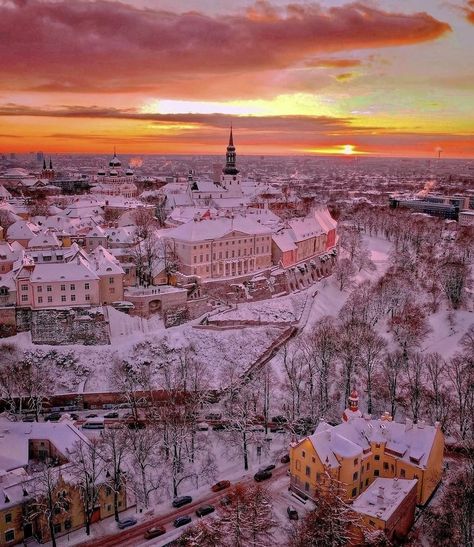 Tallin Estonia, European Bucket List, Tallinn Estonia, London Places, Dream Travel Destinations, Futuristic City, Tallinn, International Travel, Estonia