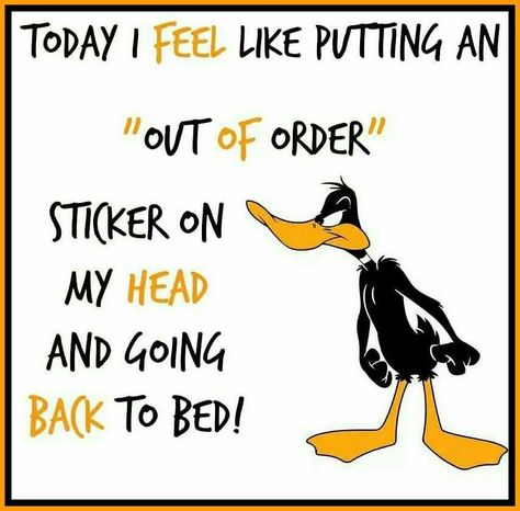 out of order sticker Daffy Duck Quotes, Duck Quotes, Getting Older Humor, Funny Day Quotes, Funny Cartoons Jokes, Good Morning Funny, Funny Quotes Sarcasm, Funny Minion Quotes, Funny Jokes For Adults