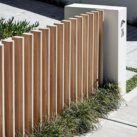 Front Garden Design Australia, Contemporary Fence, Round Garden, Curved Fence Ideas, Curved Fence, Fence Line Plants, Contemporary Fence Design, Curved Fence Ideas Privacy Screens, Timber Pool Fence