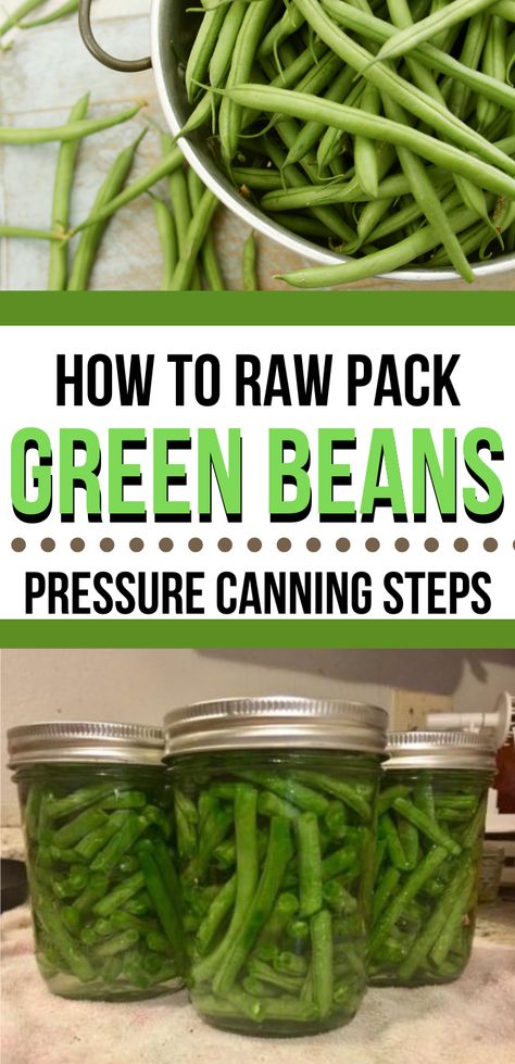 How To Pressure Can Green Beans, How To Can Green Beans Pressure Cooker, Pressure Canned Green Beans, How To Can Green Beans In Instant Pot, Canning Green Beans In The Oven, Canning Green Beans In Pressure Cooker, How To Can Green Beans, Canning Closet, Pressure Can Green Beans