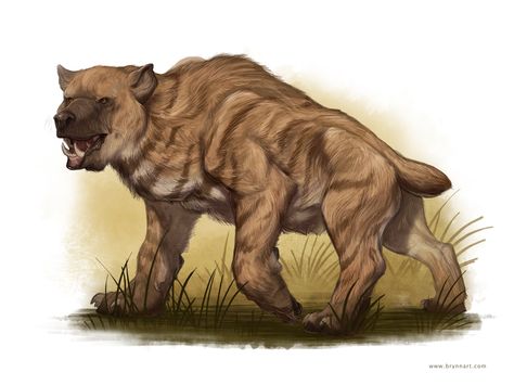 Nandi bear- African cryptid: a giant hyena that eats the brains of its victims. It is the most legendary creature in Africa because of how its eluded to be seen. Some think it is a relic of a prehistoric hyena. Hawke Dragon Age, Mocking Jay, Wallpaper Ios, Dragon Age Origins, Games Art, Dragon Age Inquisition, Mythological Creatures, Catching Fire, Creature Concept Art