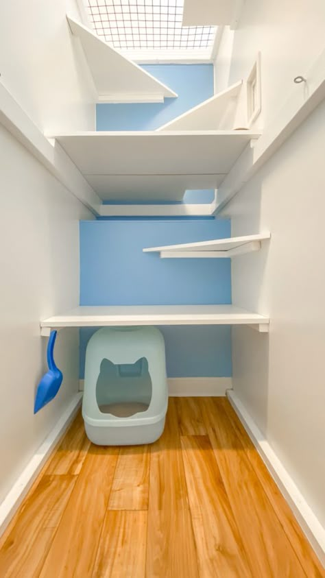 QueenSuite Cat Room Closet, Cat Hotel Design, Cat Foster Room, Cat Boarding Ideas, Cat Closet Room, Cat Hotel Ideas, Cat Closet Ideas, Cat Closet, Outdoor Cat Tunnel