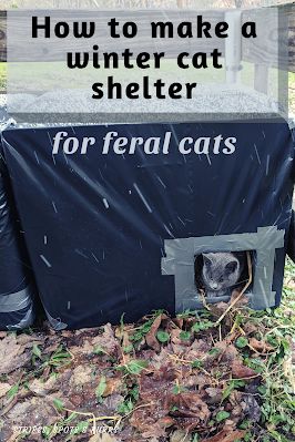 Diy Outdoor Cat Shelter Winter, Winter Cat Shelter, Outdoor Cat Shelter Diy, Cat House Outdoor Winter, Outside Cat Shelter, Cat Shelters For Winter, Cat Colony, Cat Shelters, Diy Cat Enclosure