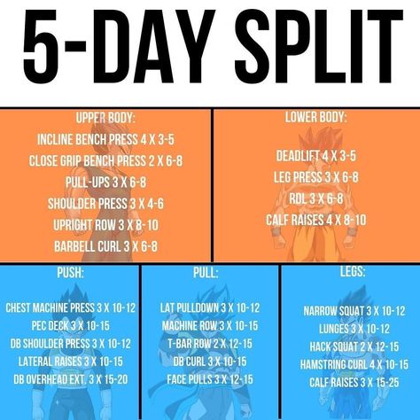 Gym Workout Split Strength Training, Workout Split 5 Day Women Beginner, 5 Day Split Workout Routine For Men, Ppl Split, Split Workouts, Gym Split, Gym Workouts For Women, 5 Day Workout Split, 5 Day Workout Plan