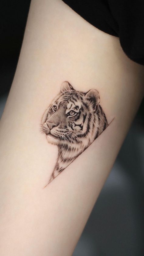 Siberian Tiger Tattoo, Half Tiger Tattoo, Simple Tiger Tattoo, Small Tiger Tattoo, White Tiger Tattoo, Tiger Hand Tattoo, Tiger Face Tattoo, Tattoo Tiger, Tiger Tattoo Design