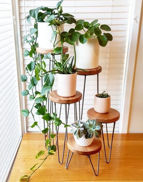 Do you need tips on indoor plants decor ideas? What are the best low maintenance indoor plants, indoor plants styling, best indoor plants decor living room. Indoor plant stands, indoor plant walls, indoor plnt display ideas. From tall, small and large indoor plants decor and styling. #indoorplants #indoorplantsdecor #indoorplantstyling #indoorplantsdecorlivingroom Indoor Plants Decor Living Room, Planting Chart, Boho Deck, Low Maintenance Indoor Plants, Indoor Plants Styling, Large Indoor Plants, Small Indoor Plants, Modern Plant Stand, Wood Plant Stand