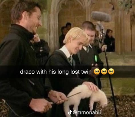 Harry Potter Preferences, Draco Malfoy Harry Potter, Draco Malfoy Funny, Malfoy Harry Potter, Slytherin Funny, Desenho Tom E Jerry, Glume Harry Potter, Harry Potter Harry, Funny Harry Potter Jokes