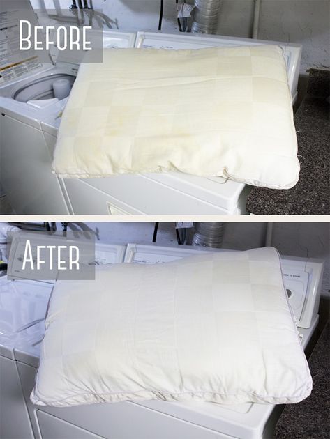 Learn how to wash pillows in your washing machine! Get rid of yellow stains, odors, dust, and dander for a better night's sleep! How To Wash And Whiten Yellowed Pillows, How To Whiten Pillows, Clean Pillows Front Loader, How To Wash A Pillow In The Washer, How To Get Rid Of Yellow Stains On White, How To Wash Bed Pillows In Washer, How To Wash Feather Pillows In Washer, Cleaning Yellow Pillows, Wash Pillows In Front Loader