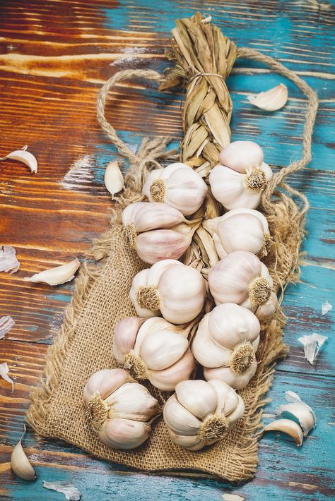 Garlic Packaging, Garlic Photography, Braided Garlic, Types Of Garlic, Harvest Garlic, Food Photography Fruit, Garlic Garden, Spices Photography, Grow Garlic