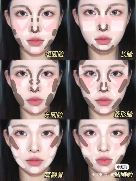 Dog Face Makeup, Makeup Tutorials Step By Step, Maquillaje Douyin, Makeup Placement, Makeup Layout, Asian Makeup Tutorials, Korean Makeup Tips, Makeup Life Hacks, Makeup Korean