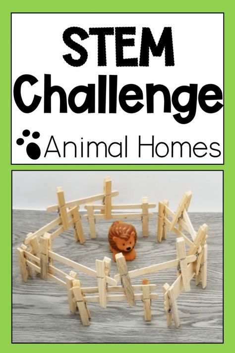 Animal STEM for Kids in Kindergarten and Primary - Building Challenges For Kids, Twos Activities, Challenges For Kids, Habitat Activities, Farm Week, Stem Activities Kindergarten, Animal Homes, Elementary Stem, Farm Animals Activities