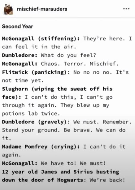 Jily Fanfiction, Harry Potter Texts, Citate Harry Potter, Hp Universe, Funny Harry Potter Jokes, Harry Potter Memes Hilarious, Gay Harry Potter, Harry Potter Feels, Harry Potter Puns