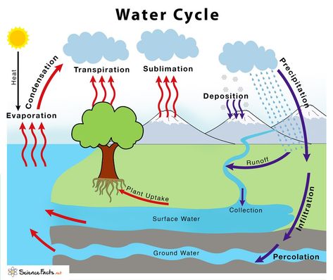 Water Cycle Diagram, Cycle Drawing, The Water Cycle, Hair Stenciling, Water Molecule, Water Pollution, Water Cycle, Soil Layers, Diagram Design