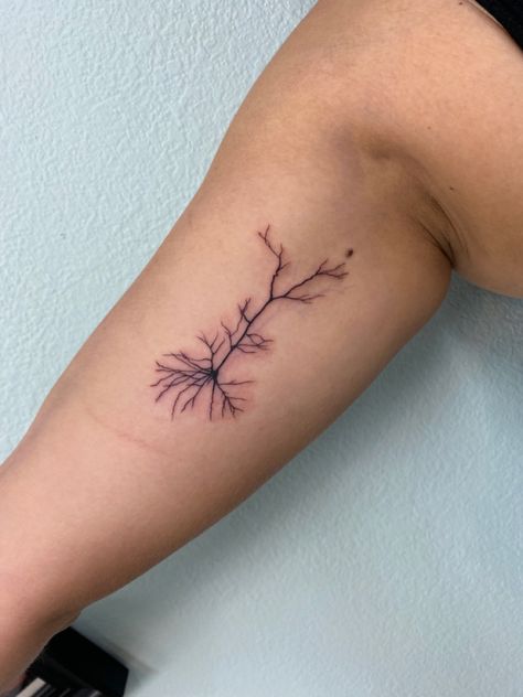 Pyramidal neuron golgi stain Brachial Plexus Tattoo, Epileptic Brain Tattoo, Neurology Tattoo Ideas, Nerve Cell Tattoo, Neuron Flower Tattoo, Narcoleptic Tattoo, Cool Science Tattoos, Synapse Tattoo, Motor Neurone Disease Tattoo