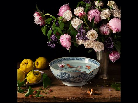 Still Life Photography for The Modern Home - Luxury Defined Dutch Masters, Dutch Golden Age, Still Life Flowers, Study Photography, Still Life Photographers, Banner Images, Famous Photographers, Cool Poses, Old Paintings