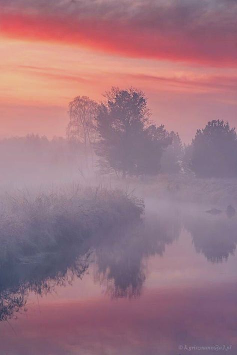 Dawn Sky, Misty Dawn, Misty Morning, Nature Paintings, Tree Painting, Inner Peace, Beautiful Landscapes, Mist, Neon