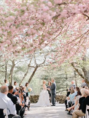 Oak Tree Wedding Ceremony, Blossom Tree Wedding, Canoe Wedding, Tree Wedding Ceremony, Cherry Blossom Wedding Theme, Sakura Wedding, Oak Tree Wedding, Japan Wedding, Georgia Wedding Venues