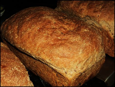 Diy Ezekiel Bread, How To Make Ezekiel Bread, Ezekiel 4:9 Bread Recipe, Ezekial Bread Recipes, Gluten Free Ezekiel Bread Recipe, Homemade Ezekiel Bread Recipe, Unrefined Carbs, Einkorn Bread Machine Recipe, Soughdough Bread