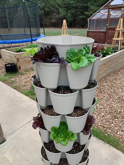 Self Watering Vertical Garden Diy, Herb Tower Vertical Planter, Plant Tower Vertical Planter, Tower Planter Ideas, Vertical Lettuce Garden, Vegetable Tower Garden, Grow Tower Garden, Diy Vertical Garden Tower, Garden Tower Diy Vertical Planter